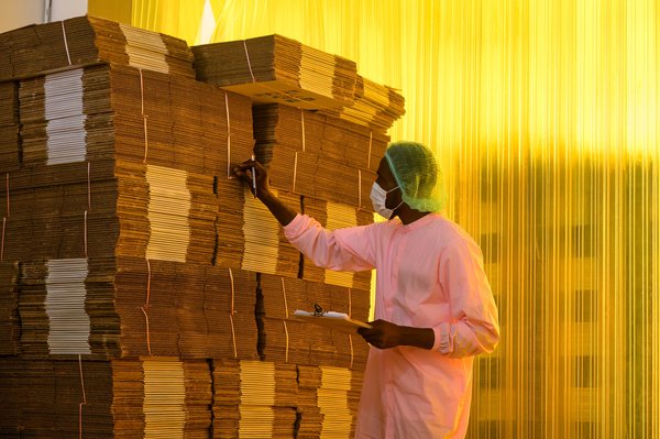 Grossiste emballage colis : des solutions pratiques et durables